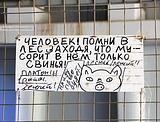Объявление на входе на лыжероллерную трассу