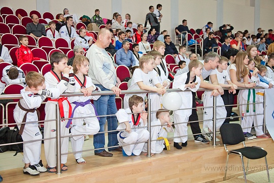 Первый открытый международный фестиваль по тхэквондо на Кубок главы Одинцовского район