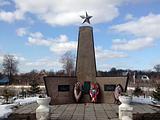 д. Ляхово — Памятник погибшим землякам.