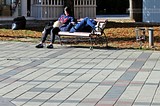 Фото: Крым сегодня