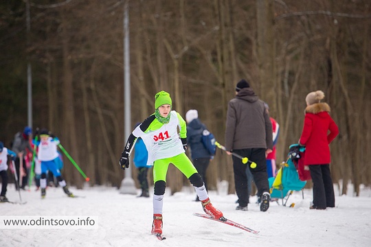 Манжосовская лыжная гонка 2015 (47-я), freemax