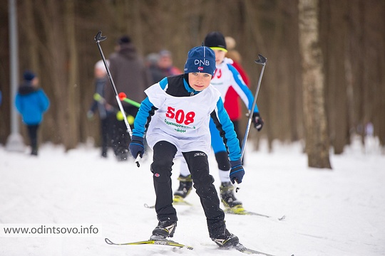 Манжосовская лыжная гонка 2015 (47-я), freemax
