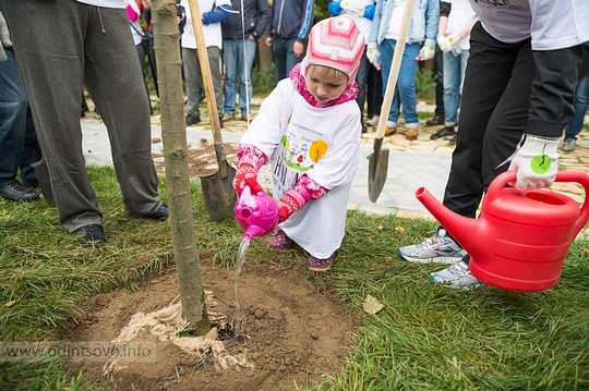 Акция «Наш Лес. Посади своё дерево» в Спортивном парке отдыха