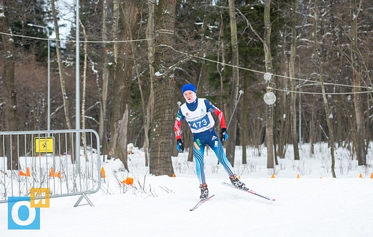 Более 500 человек вышли на старт «Новогодней лыжни» в Одинцово