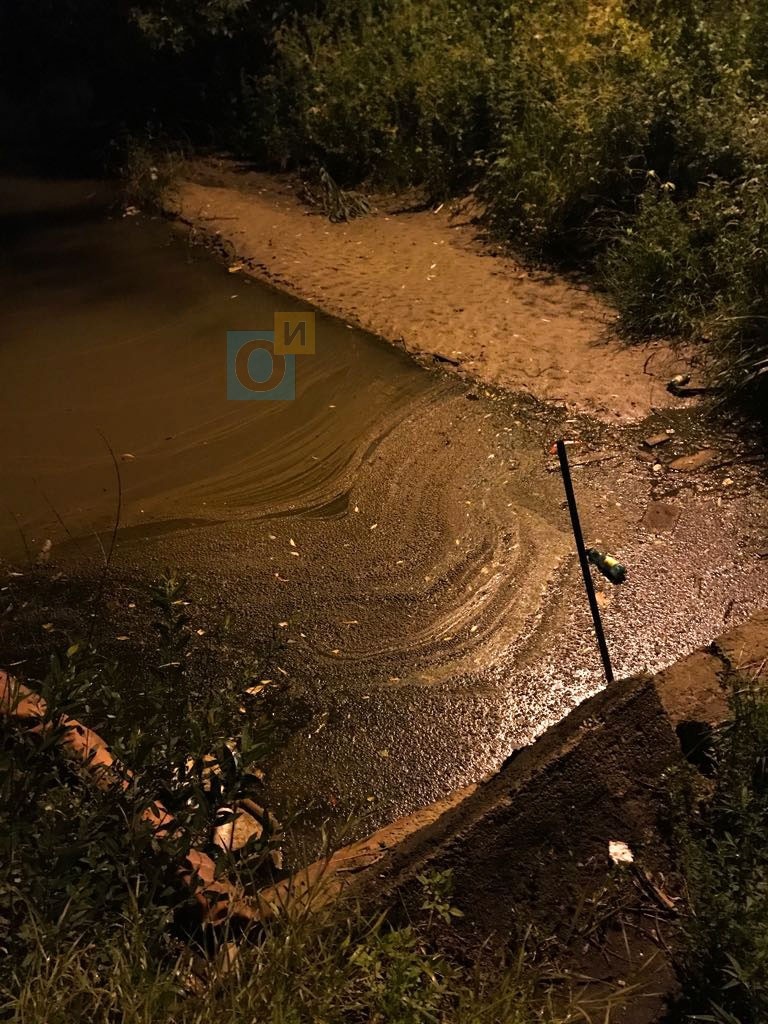 Немчиновский пруд, плёнка на поверхности, Немчиновский пруд продолжают заливать нефтепродуктами