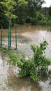 Тропический ливень затопил и парковые зоны комплекса