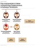 Инфографика, Воробьёвы-Типикины