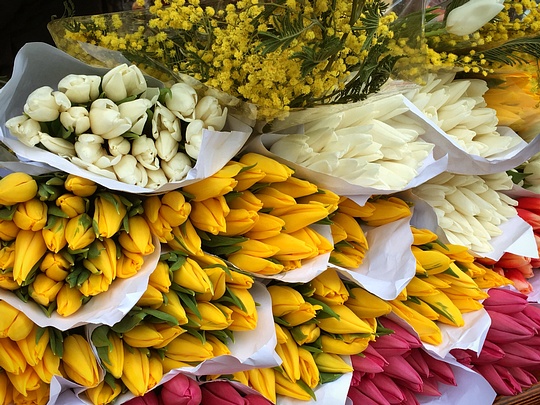Тюльпаны, «Одинцовское подворье» приглашает на Цветочный базар