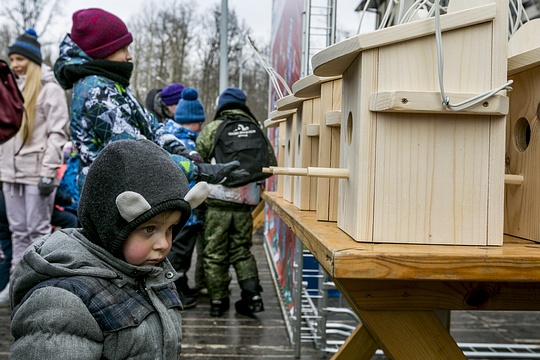 Юный участник акции, День птиц в Одинцовском парке культуры, спорта и отдыха