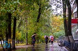 Осень в Одинцово