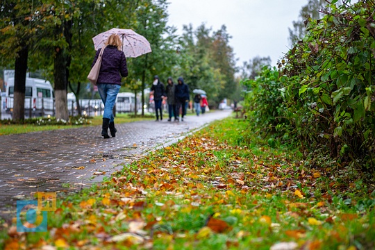 Осень в Одинцово, Жизнь города, freemax