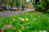 Осень в Одинцово