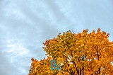 Осень в Одинцово