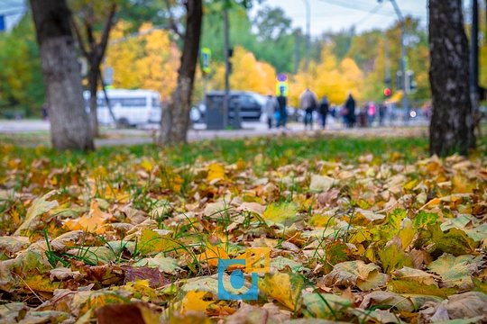 Осень в Одинцово, Жизнь города, artemf