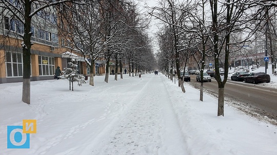 Снежная 12 москва