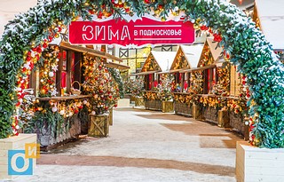 Ярмарка «Зима в Подмосковье»