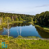 Решетников пруд