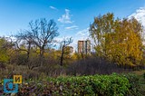 Одинцово, Красногорское шоссе, октябрь 2019, осень
