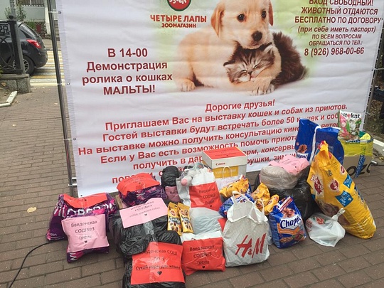Более 30 кг корма собрали ученики Введенской СОШ №3, Выставка животных «Хочу домой»