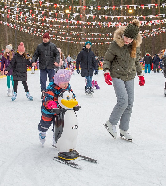 Каток парка «Раздолье»: для обучения малышей здесь можно воспользоваться «пингвином», Более 1500 человек в день: парк «Раздолье» стал самым популярным местом отдыха Подмосковья