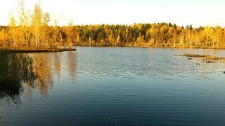 Озеро в Брёховском лесу