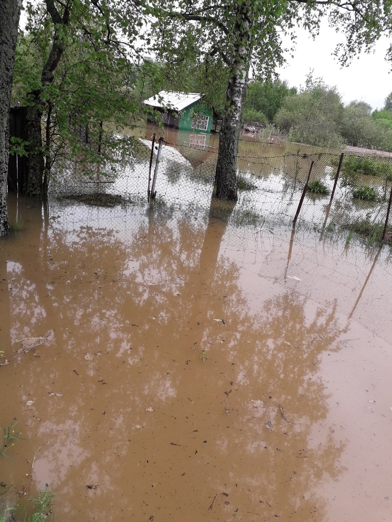 Огороды и хозпостройки затопило возле Кубинки-1, Сильные ливни затопили поселения Одинцовского округа