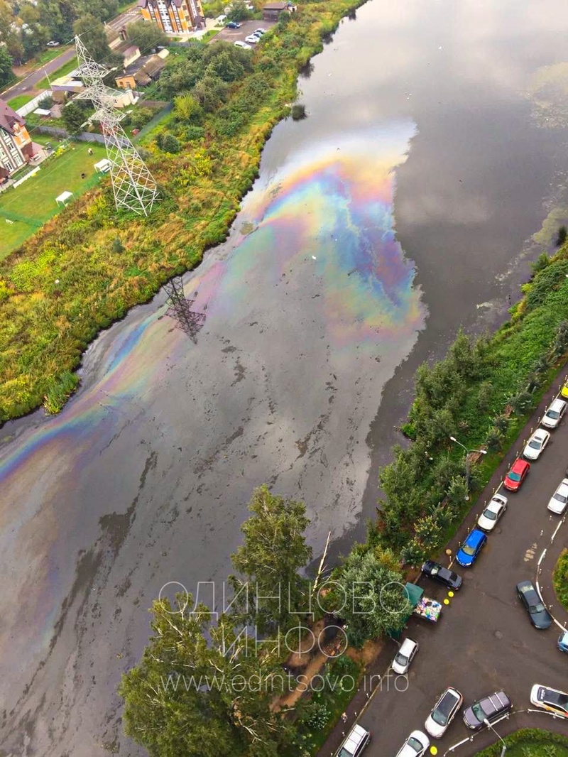 Плёнка из нефтепродуктов на Глазынинском пруду в Одинцово