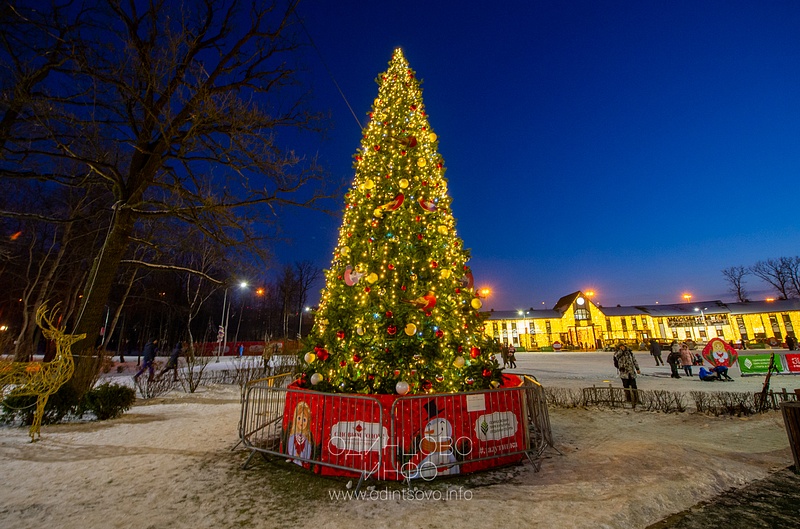 Новогодняя елка в парке спорта и отдыха, Церемония зажжения новогодней иллюминации в парке спорта и отдыха в Одинцово