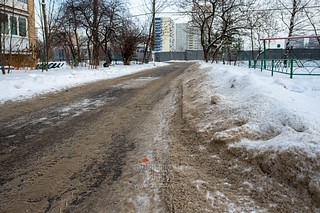 Несанкционированная свалка грязных снежных отходов, содержащих антигололёдные реагенты, на зелёных насаждениях, Солнечная улица, 16