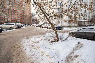 Несанкционированная свалка грязных снежных отходов, содержащих антигололёдные реагенты, на зелёных насаждениях, Союзная улица, 10