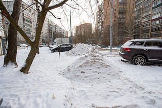 Несанкционированная свалка грязных снежных отходов, содержащих антигололёдные реагенты, на зелёных насаждениях, Верхне-Пролетарская улица, 7