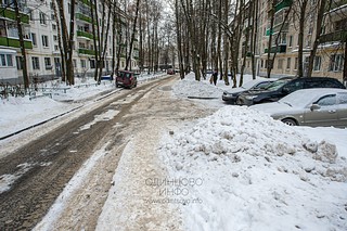 Несанкционированная свалка грязных снежных отходов, содержащих антигололёдные реагенты, на зелёных насаждениях, Молодёжная улица, в районе дома №28