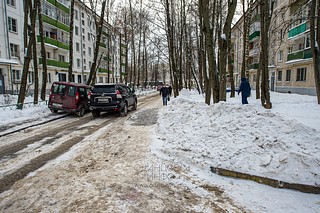 Несанкционированная свалка грязных снежных отходов, содержащих антигололёдные реагенты, на зелёных насаждениях, Молодёжная улица, в районе дома №28