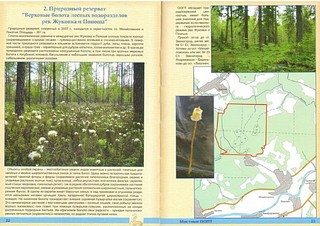 Природный резерват «Верховые болота лесных водоразделов рек Жуковка и Поноша»