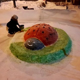 Божья коровка