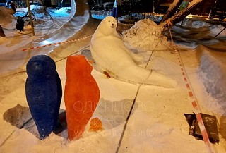 Морской котик и пингвины