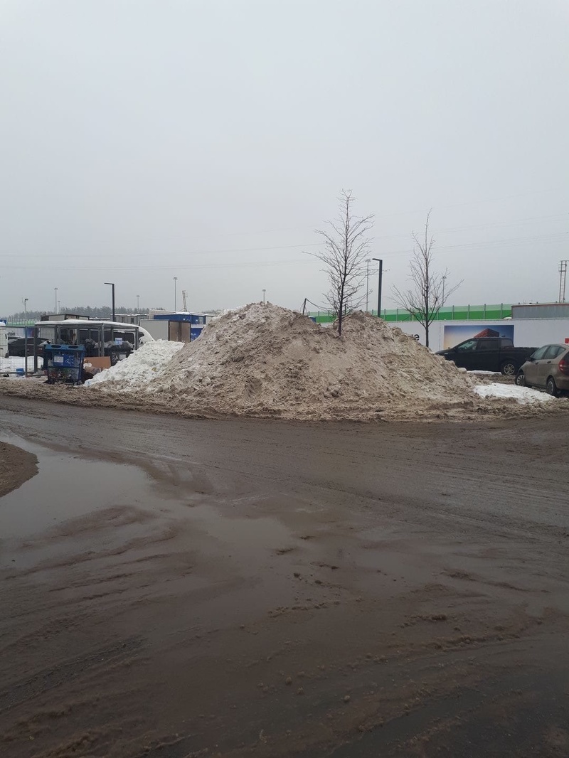 В ЖК «Одинцово-1» управляющая компания завалила дерево горой грязного снега, Январь