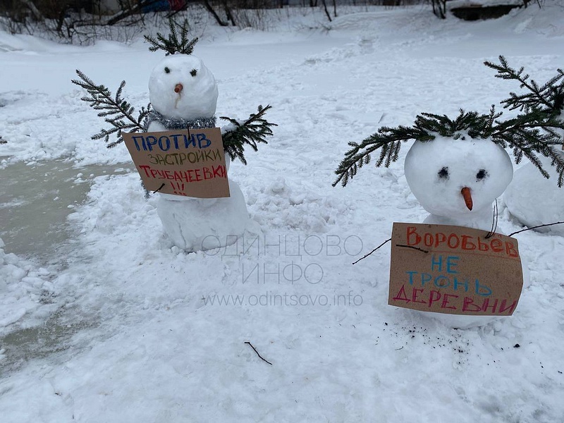 «Против застройки Трубачеевки», «Воробьёв, не тронь деревни», Митинг снеговиков против стройки ЖК в деревне