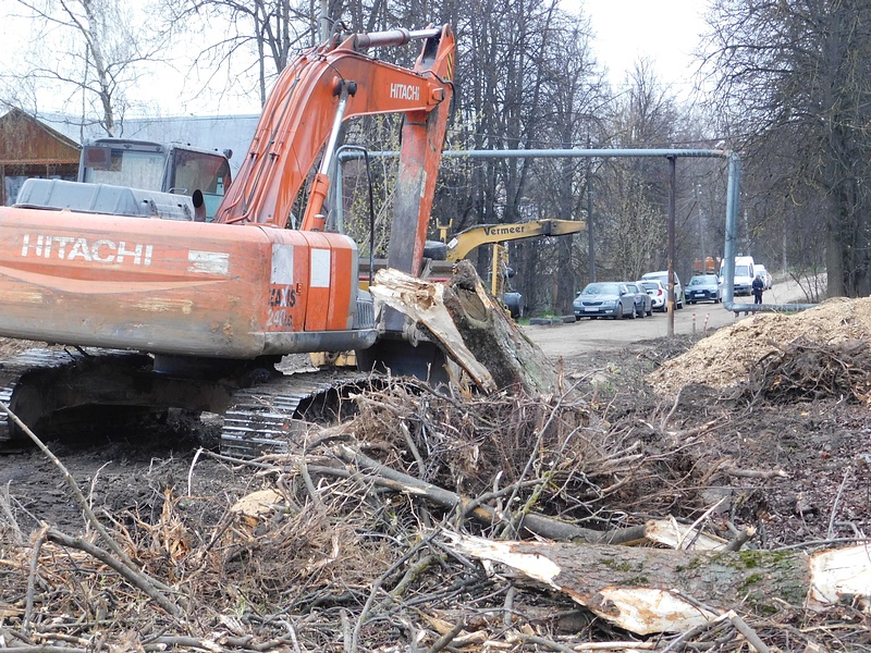 Последствия вырубки деревьев в Одинцово-1
