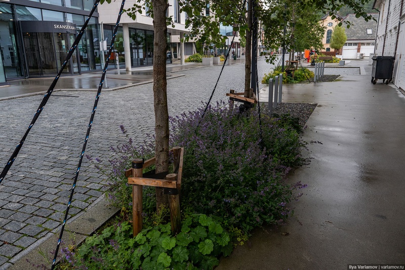 «Многолетнее» озеленение в норвежском Олесунне, В Одинцово потратят 4,6 млн руб. на высадку цветов