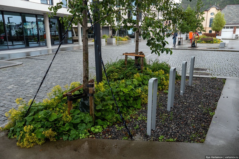 Пример «многолетнего» озеленения в норвежском Олесунне, В Одинцово потратят 4,6 млн руб. на высадку цветов