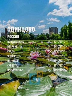 Погода в Одинцово на 21-27 июня