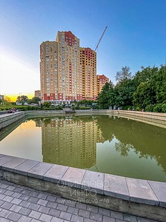 Пруд на Баковке в микрорайоне 6А, Одинцово