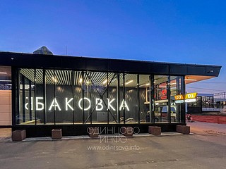 Ж/Д станция «Баковка», МЦД
