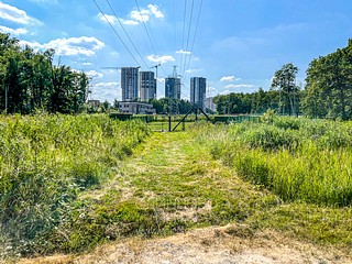 Площадка для выгула собак между Подушкинским и Красногорским шоссе