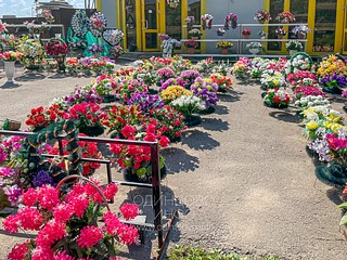 Кладбище Лайково, продажа венков