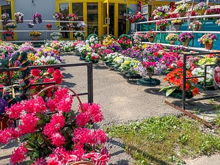 Кладбище Лайково, продажа венков