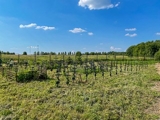 Кладбище Лайково, номерные могилы, невостребованные покойники