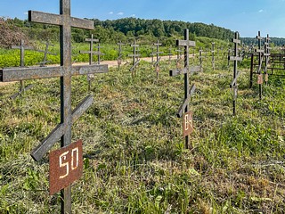 Кладбище Лайково, номерные могилы, невостребованные покойники