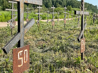 Кладбище Лайково, номерные могилы, невостребованные покойники